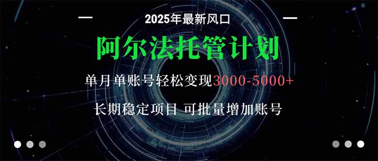 阿尔法托管计划 单账号月入3000-5000，长期稳定项目，新手小白轻松上手。-AI网创资源网